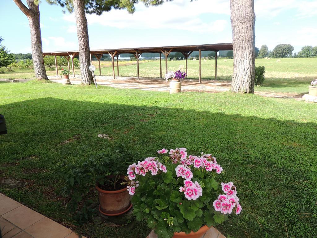 Agriturismo Valle Martina サトゥルニア エクステリア 写真